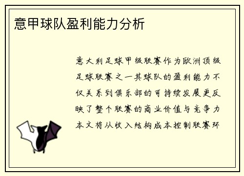 意甲球队盈利能力分析